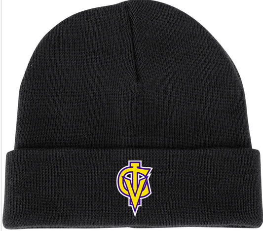 3D embroidery beanie